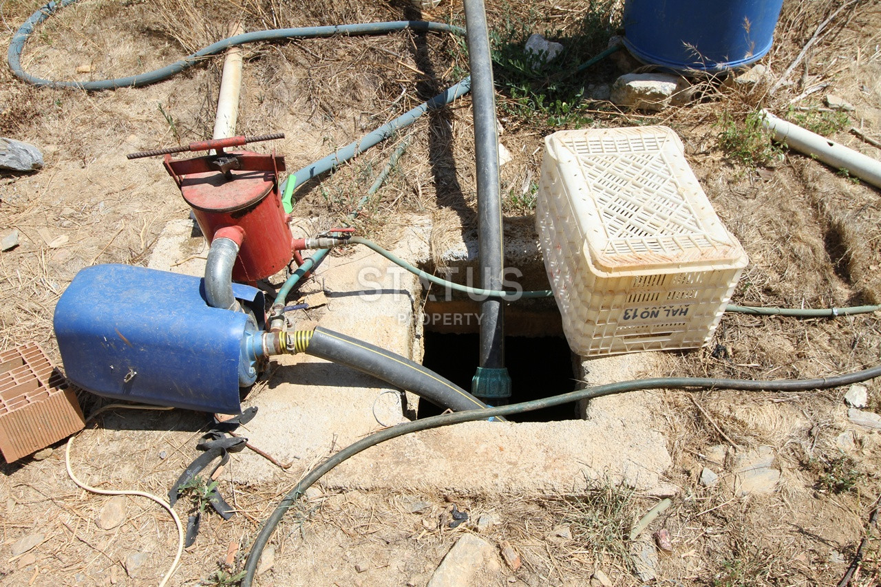 Земельный участок с большим домом и теплицей в Ходжалар, Алания. фото 43