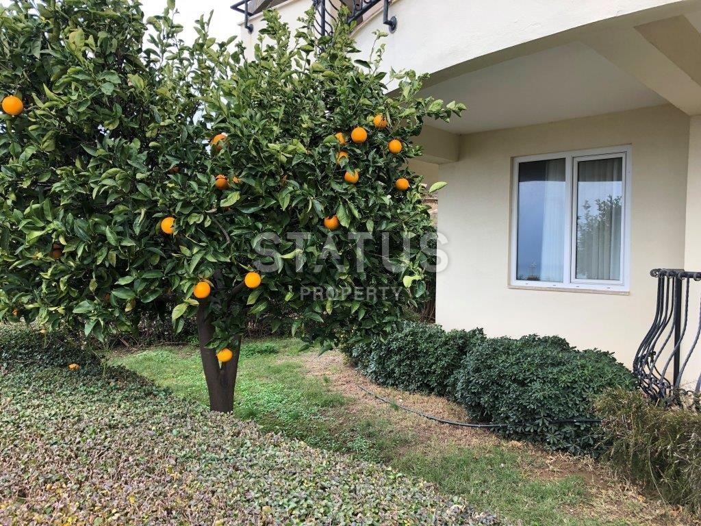 Two-level apartment in a quiet area of Kargicak in a luxurious Gold City complex фото 3