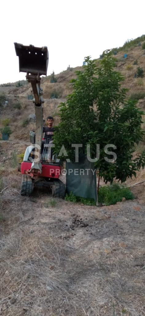 Земельный участок в Газипаша 60 000 м2. фото 7