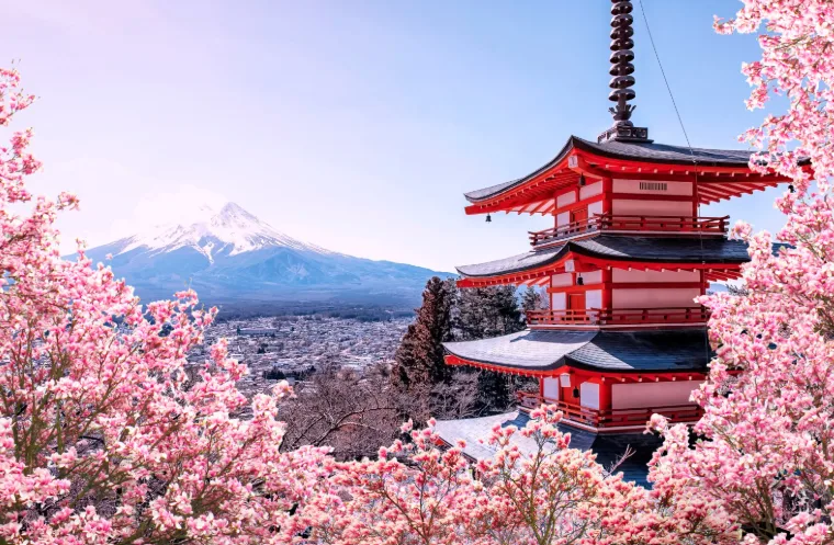Cherry Blossom of Japan – 8 Nights / 9 Days