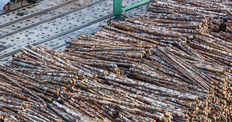 Log demand in China rebounds sharply with economic recovery in full swing