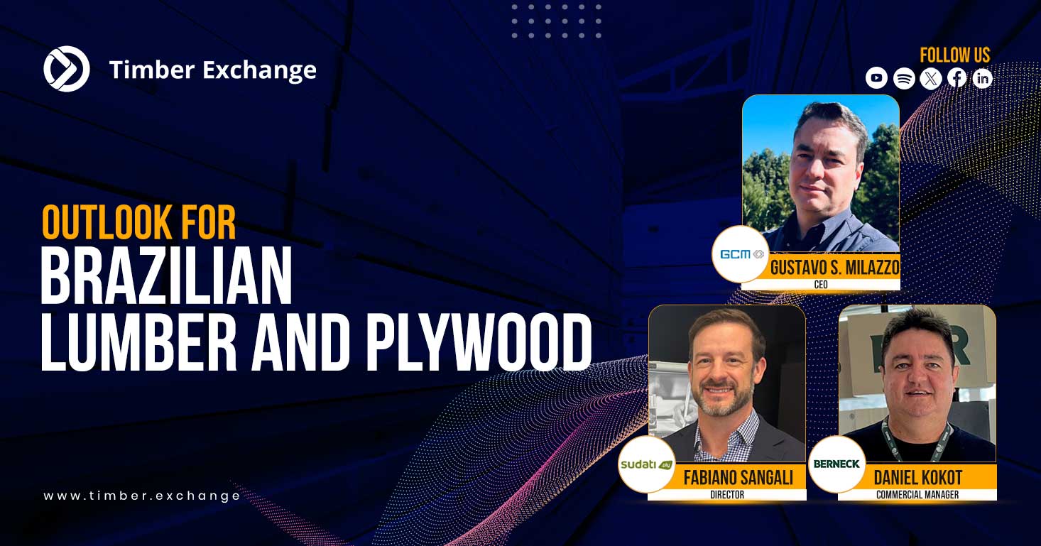 Outlook for Brazilian Lumber and Plywood