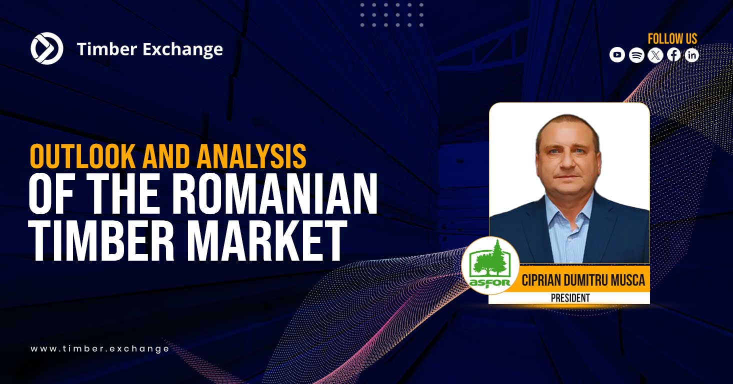 Outlook and Analysis of the Romanian Timber Market
