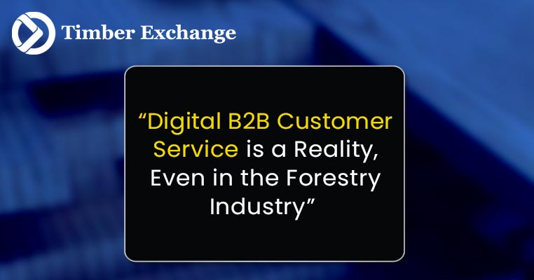 Digital B2B Customer Service