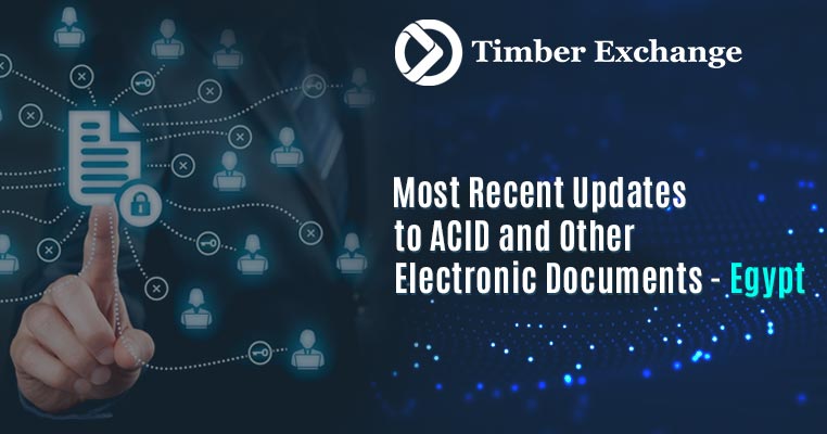 Electronic Documents - Egypt