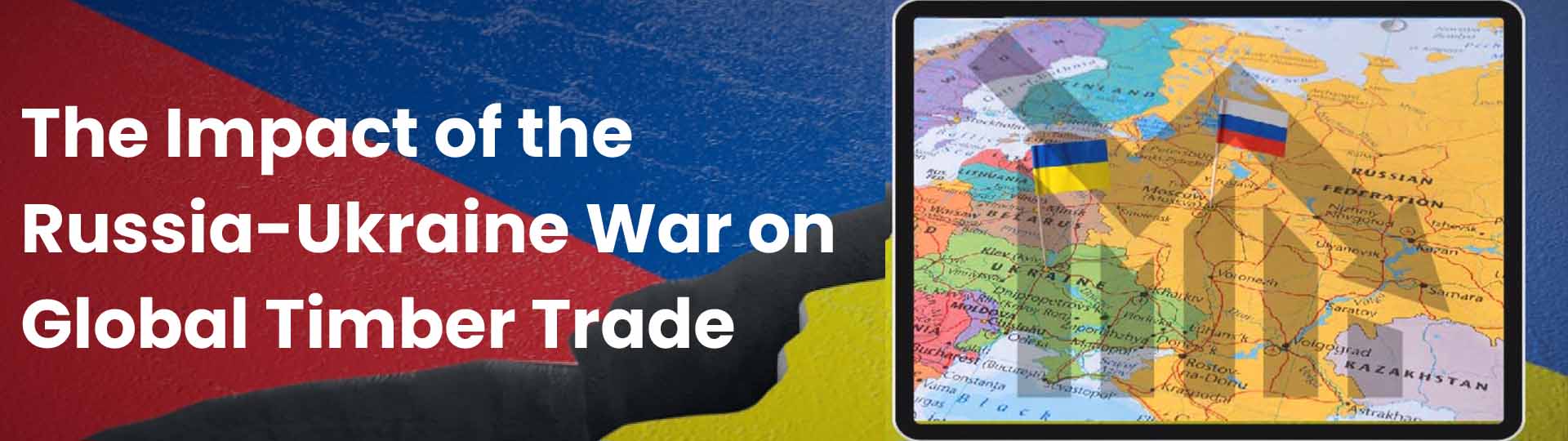 Global Timber Trade