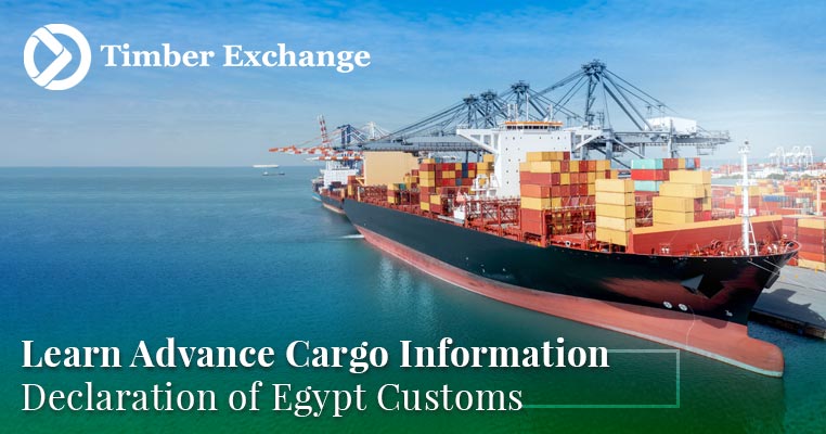 Advance Cargo Information Declaration