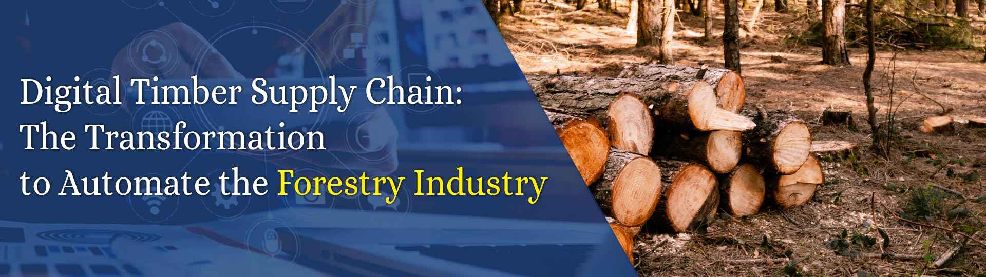 Digital Timber Supply Chain
