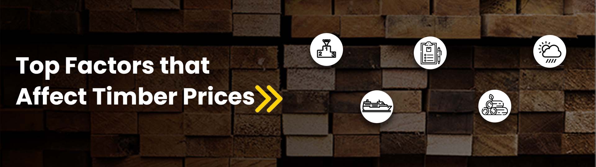 Top Factors that Affect Timber Prices