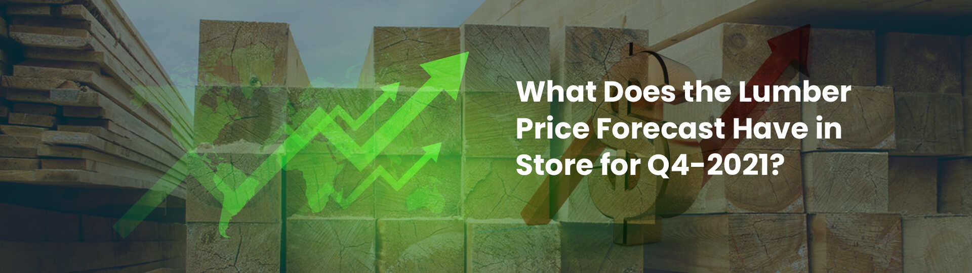 Lumber Price Forecast