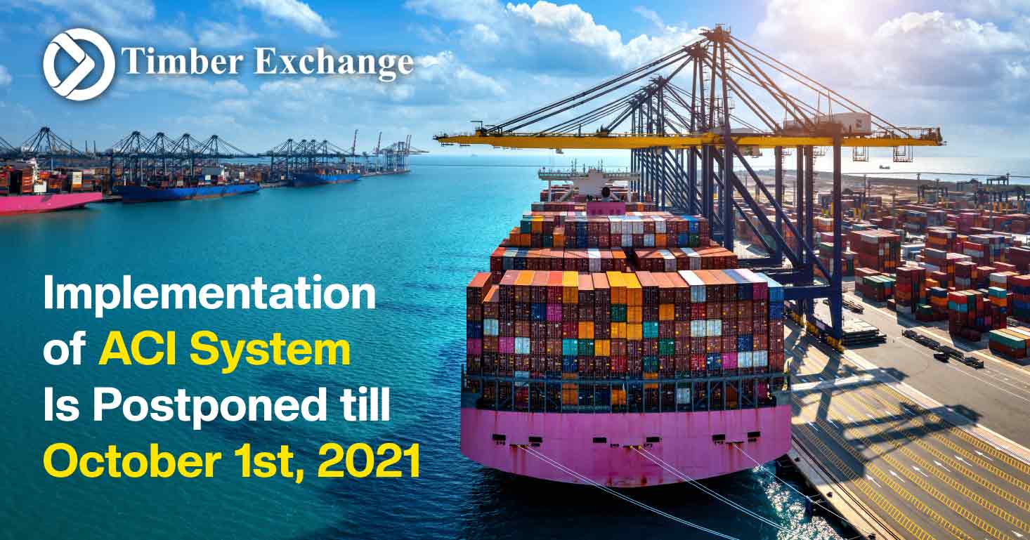 Egypt ACI System