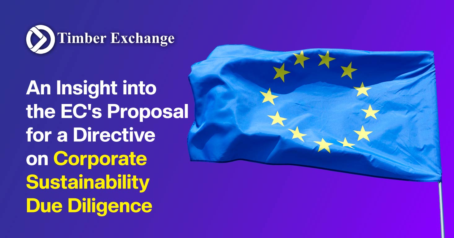 Directive on Corporate Sustainability Due Diligence