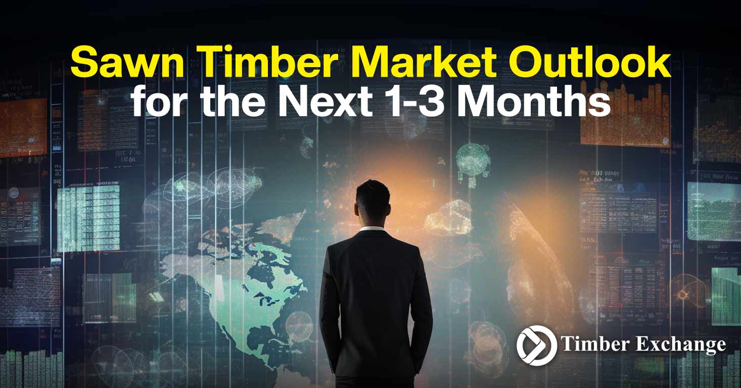 Sawn Timber Market Outlook