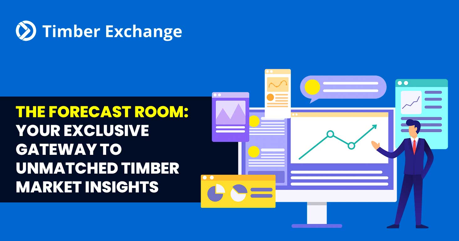 Timber Market Insights
