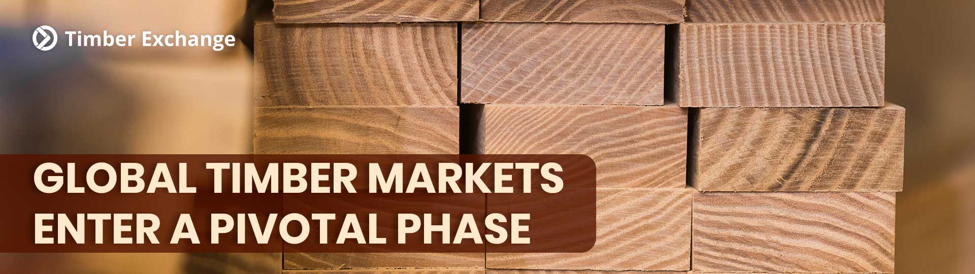 Global Timber Markets