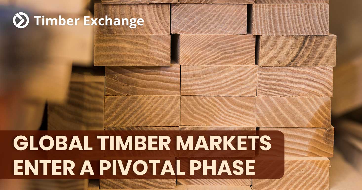 Global Timber Markets