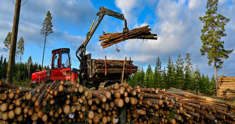 Finland&rsquo;s forest exports rise 15%, reaching Euro 3.16 billion in Q3 2024