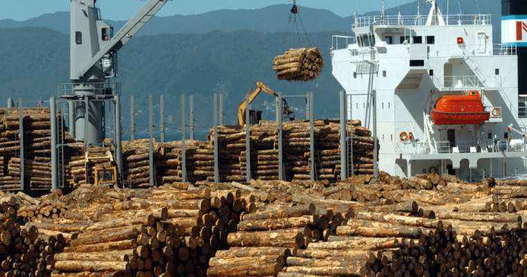 China boosts Australian log imports amid New Zealand timber surge in ports