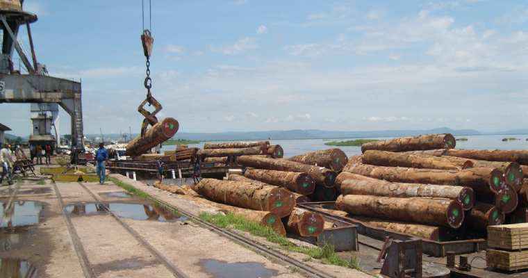 Timber supply chains face disruption amid Red Sea crisis