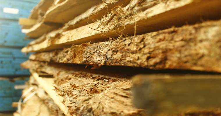 One-fifth of timber importers uninformed about EUDR regulations