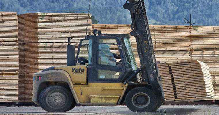 February sees a surge in Canadian sawmill production and shipments