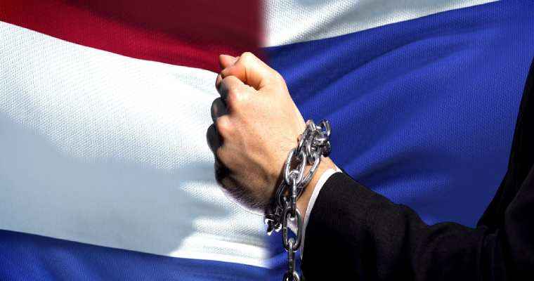 Arrests in Netherlands over alleged violations of Russian timber import sanctions