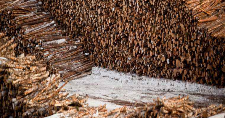 Finnish forest sector struggles as strikes result in 40% trade dip