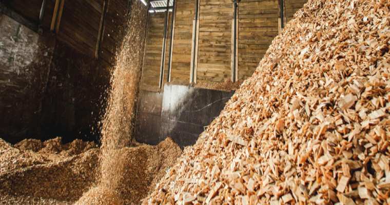 April sees a monthly decline but an annual boost in US wood pellet exports