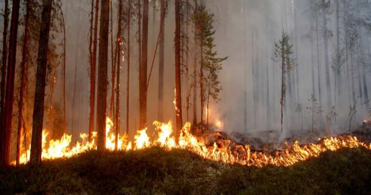 Swedish forests under severe fire threat from Northeast G&ouml;taland to Norrland