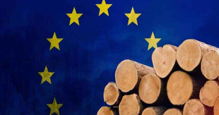 EU faces crisis as China rejects EUDR regulations