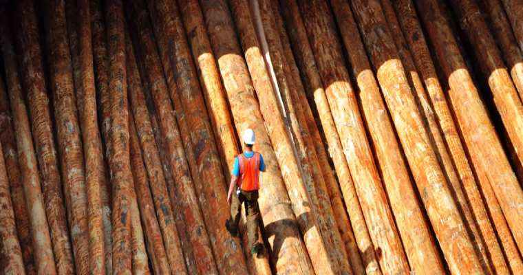 Japan's declining Yen sparks timber boom across Asia
