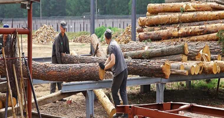 EU imposes ban on Belarusian furniture linked to torture allegations