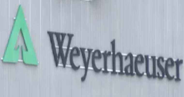Weyerhaeuser suspends operations at New Bern, NC sawmill indefinitely