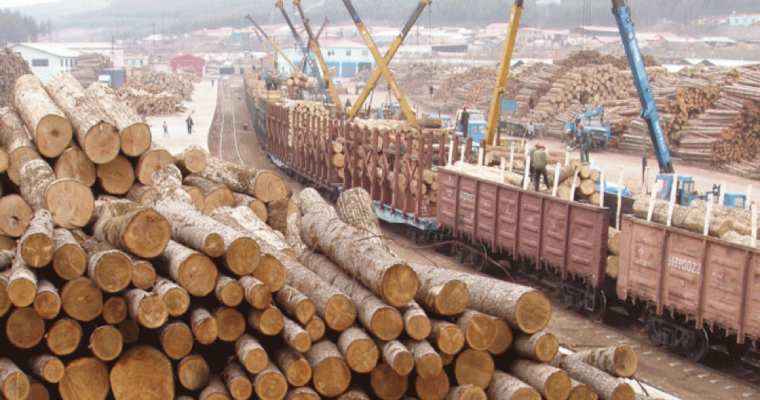 China's timber imports decline amid factory slowdown