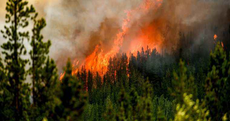 US Forest Service offers $25 million to reduce wildfire risk
