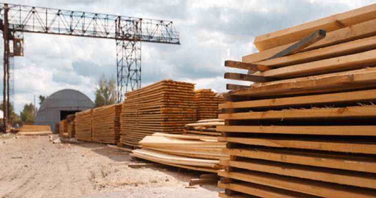 Japan's softwood lumber imports surge 23% year-on-year by June