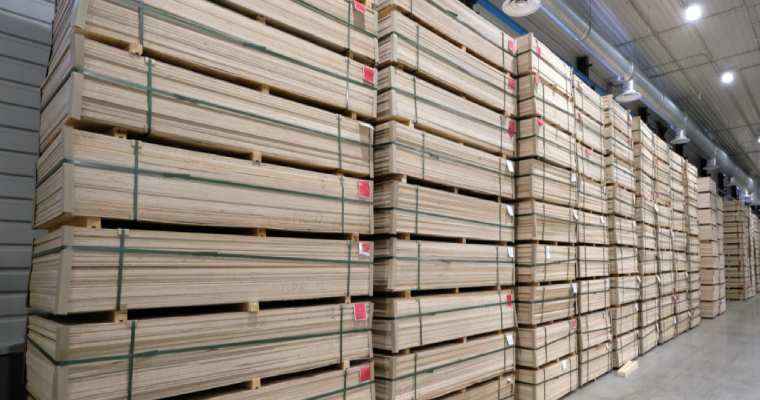 Brazil sees year-over-year surge in wood-based product exports for June