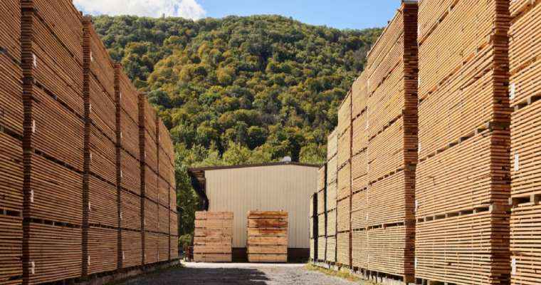 U.S. hardwood lumber exports to MENA rise 6% in H1 2024