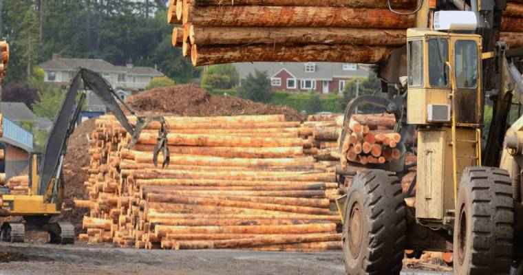 Finnish timber trade keeps prices high in July, indicating stabilization