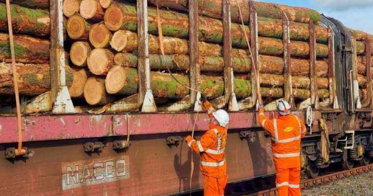 Canada&rsquo;s railways resume timber freight transport after strike called off
