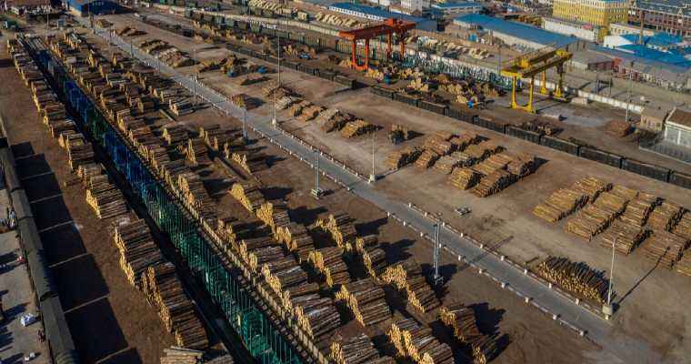 New tax hike in Cameroon to curb China&rsquo;s timber supply from central Africa