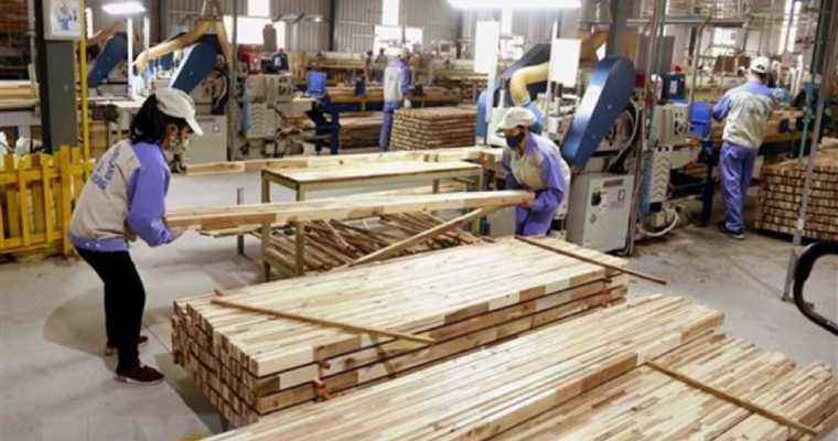 Vietnam's timber and wood exports hit $9.5 billion by mid-August