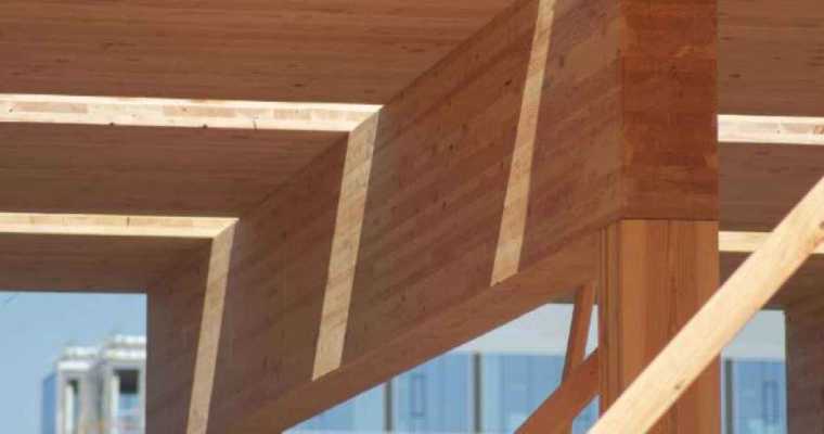 Aussie firms to launch hardwood timber hub for engineered wood manufacturing