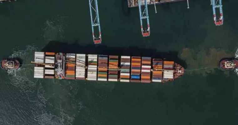 Container shipping industry hits $10 billion profit milestone in Q2 2024