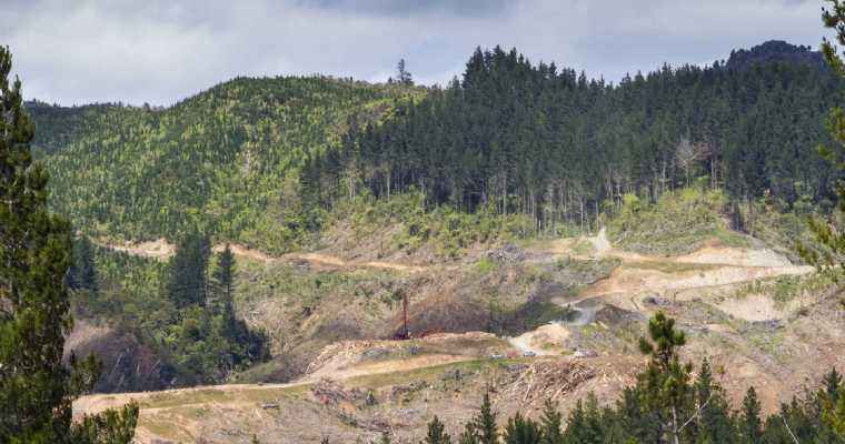 New Zealand announces major overhaul of forestry regulation under Resource Management Act