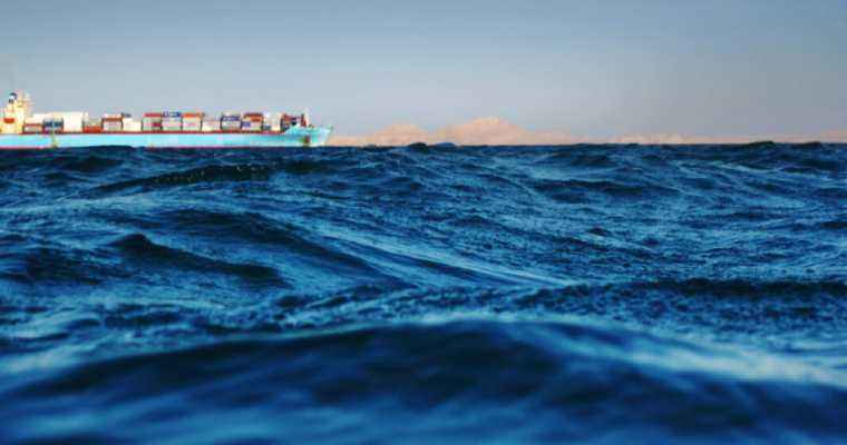 Red sea port calls drop by 85% in 2024