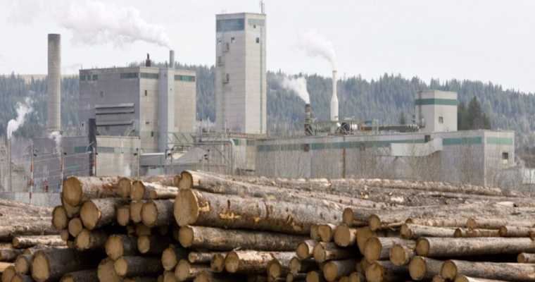 West Fraser announces indefinite sawmill curtailment in Lake Butler amid high fiber costs