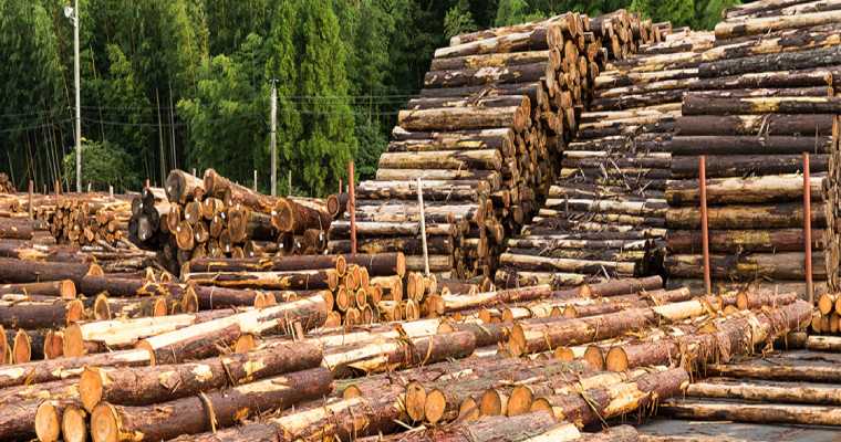 Indonesia pledges IDR3.33bn investment to strengthen wood processing industry
