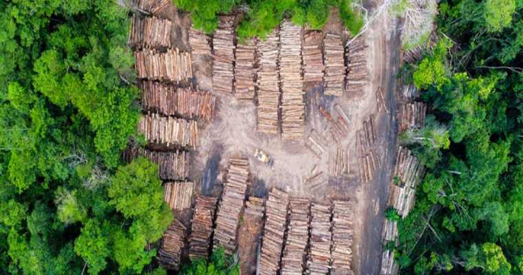 European commission proposes year-long delay to key deforestation regulation