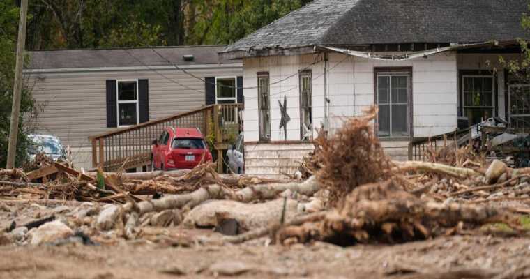 US softwood lumber industry faces disruptions amid strikes and Hurricane Helene